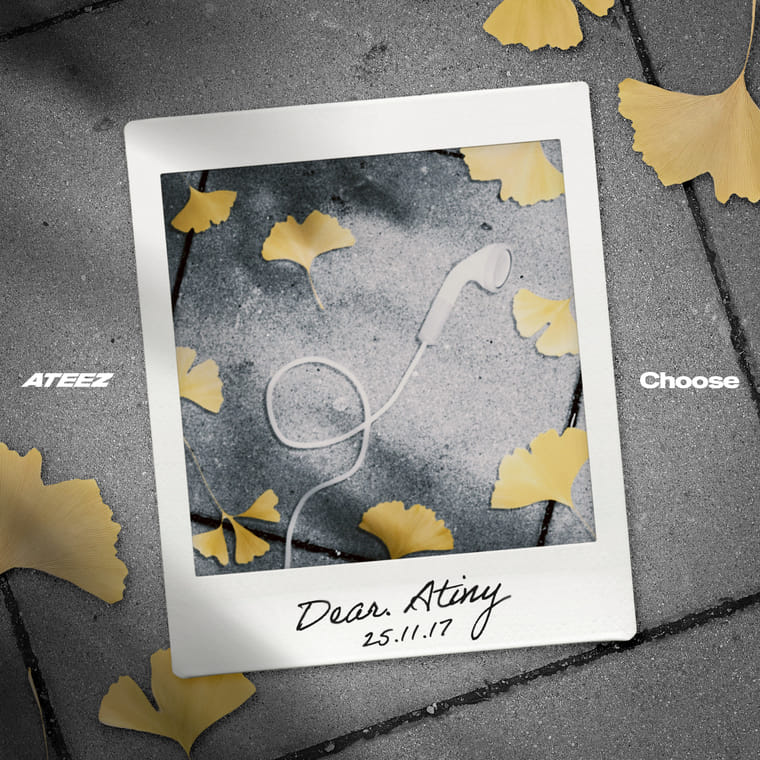 Choose cover