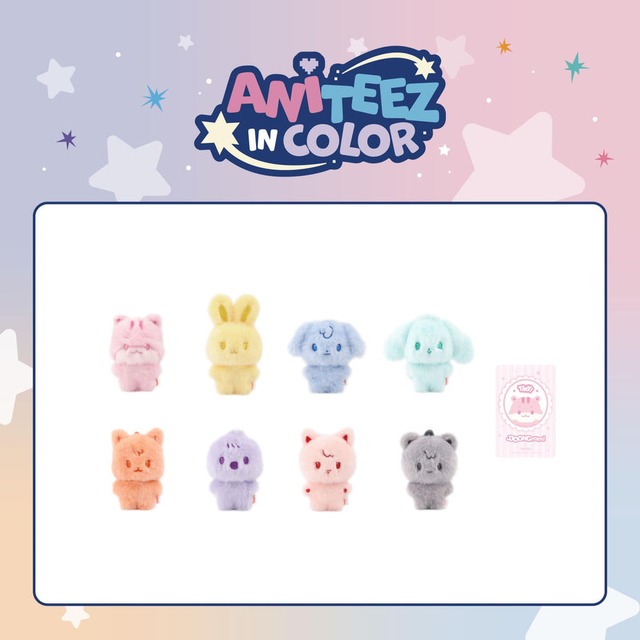Color Tiny ANITEEZ Doll