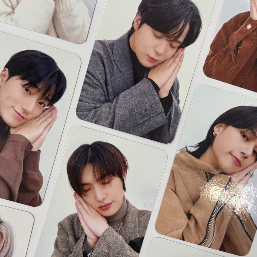 ANITEEZ Photocards