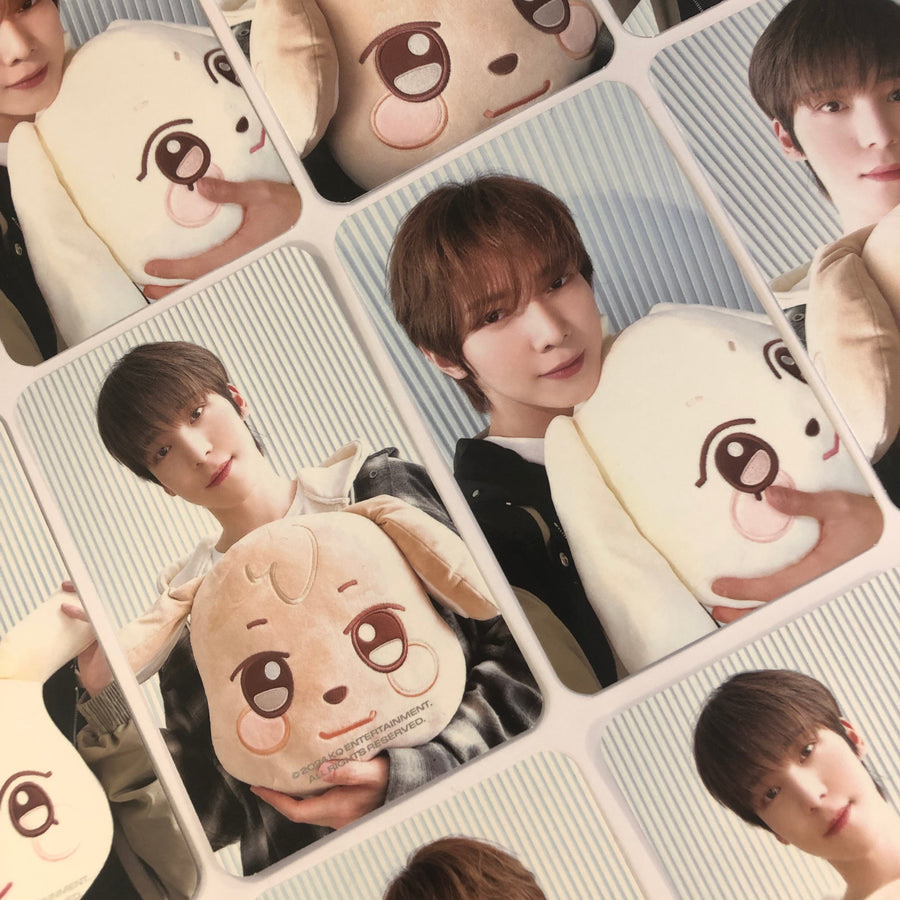ANITEEZ Plush Cushion Photocards